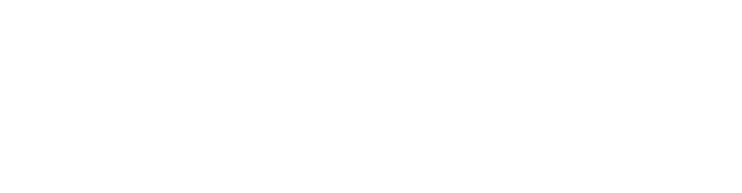 die Unternehmerin
